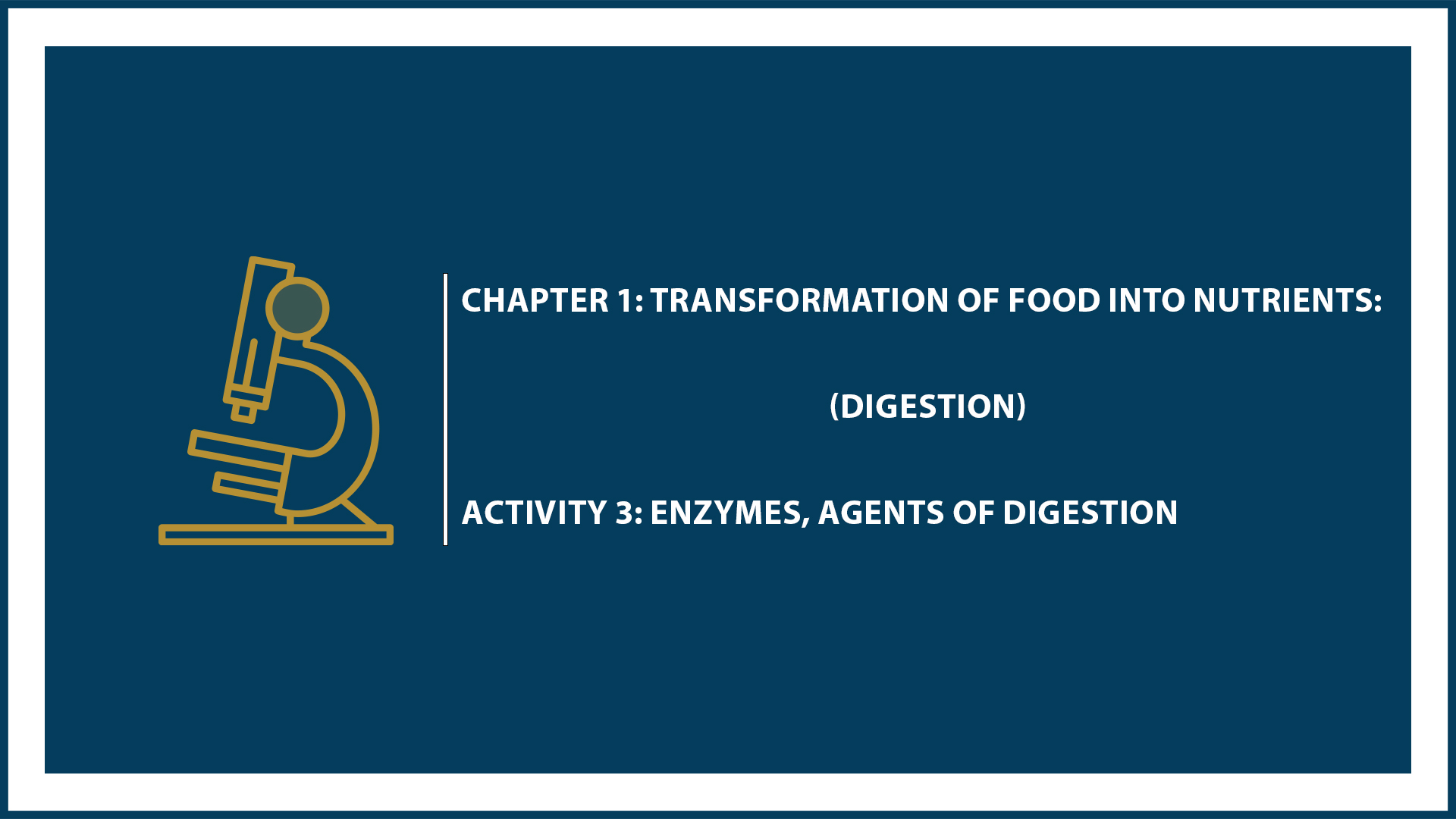 Chapter 1: Digestion - Activity 3: Enzymes, Agents of Digestion